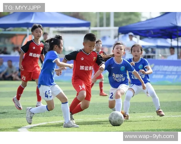 足球限制政策对青少年发展与职业联赛的影响分析与探讨