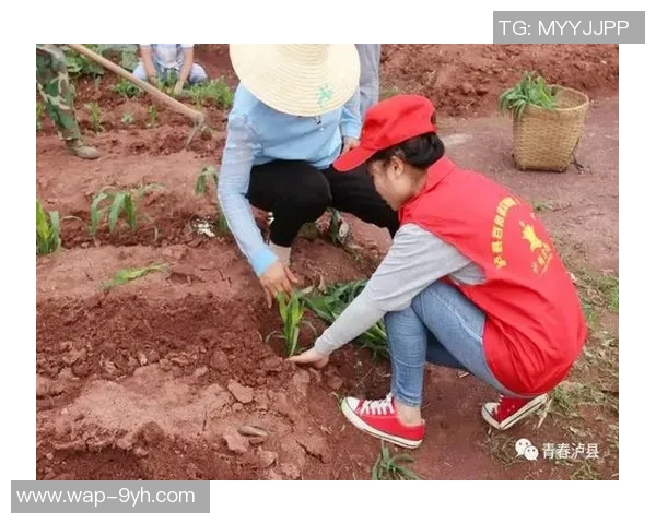 重庆女子足球崛起之路展现青春力量与拼搏精神